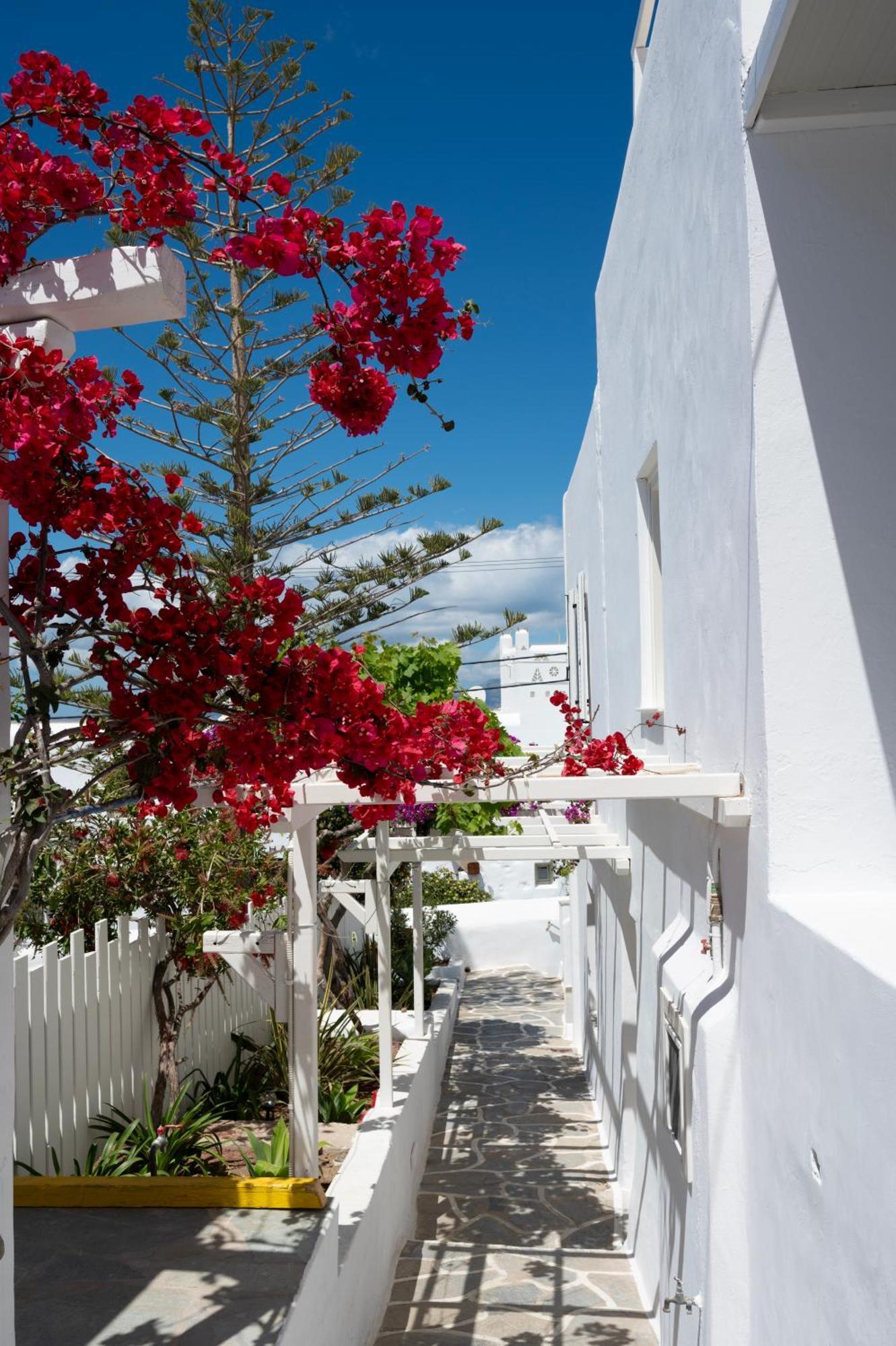 Hotel Boutique Di Vito Mykonos Town Esterno foto