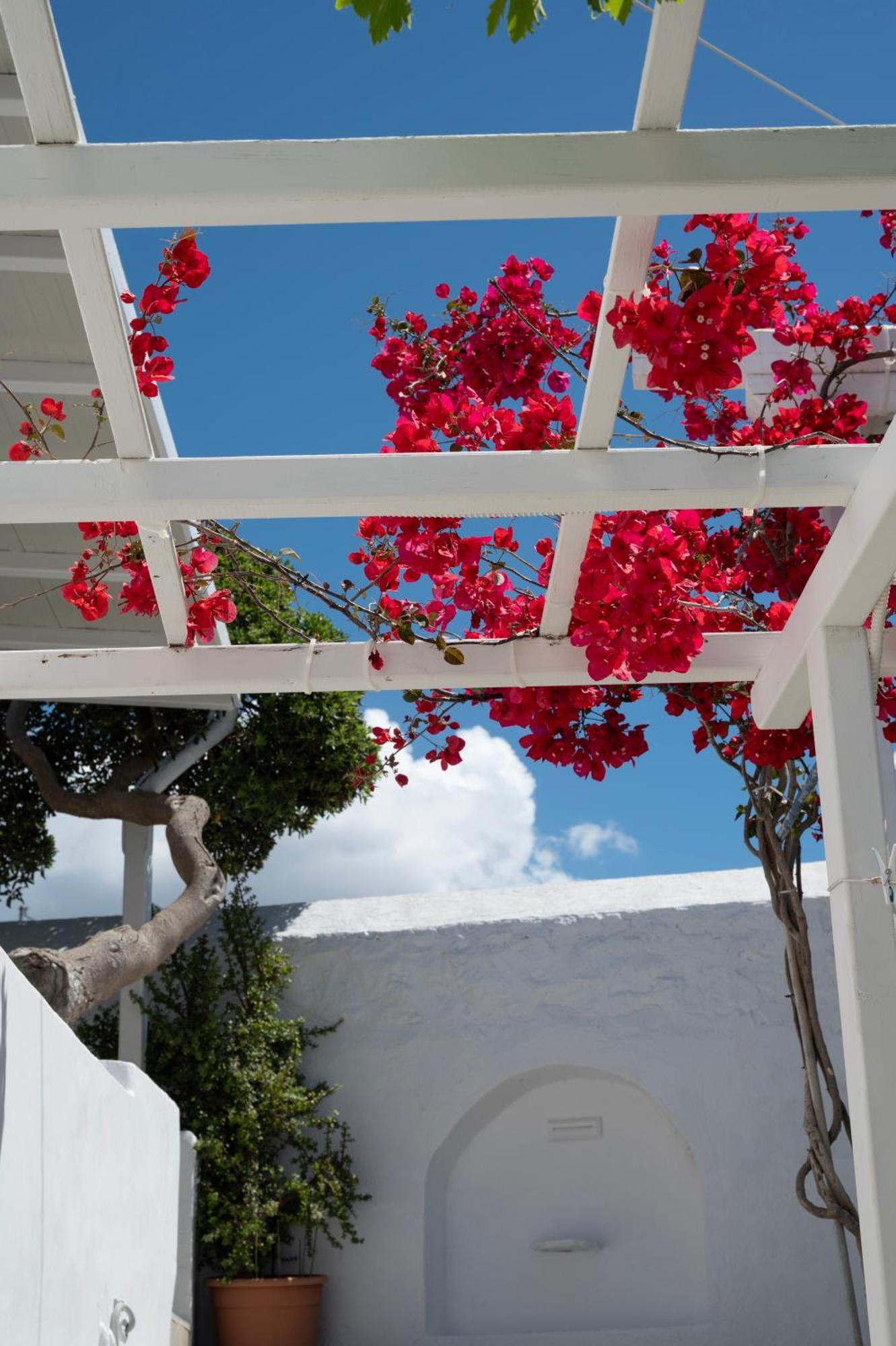 Hotel Boutique Di Vito Mykonos Town Esterno foto