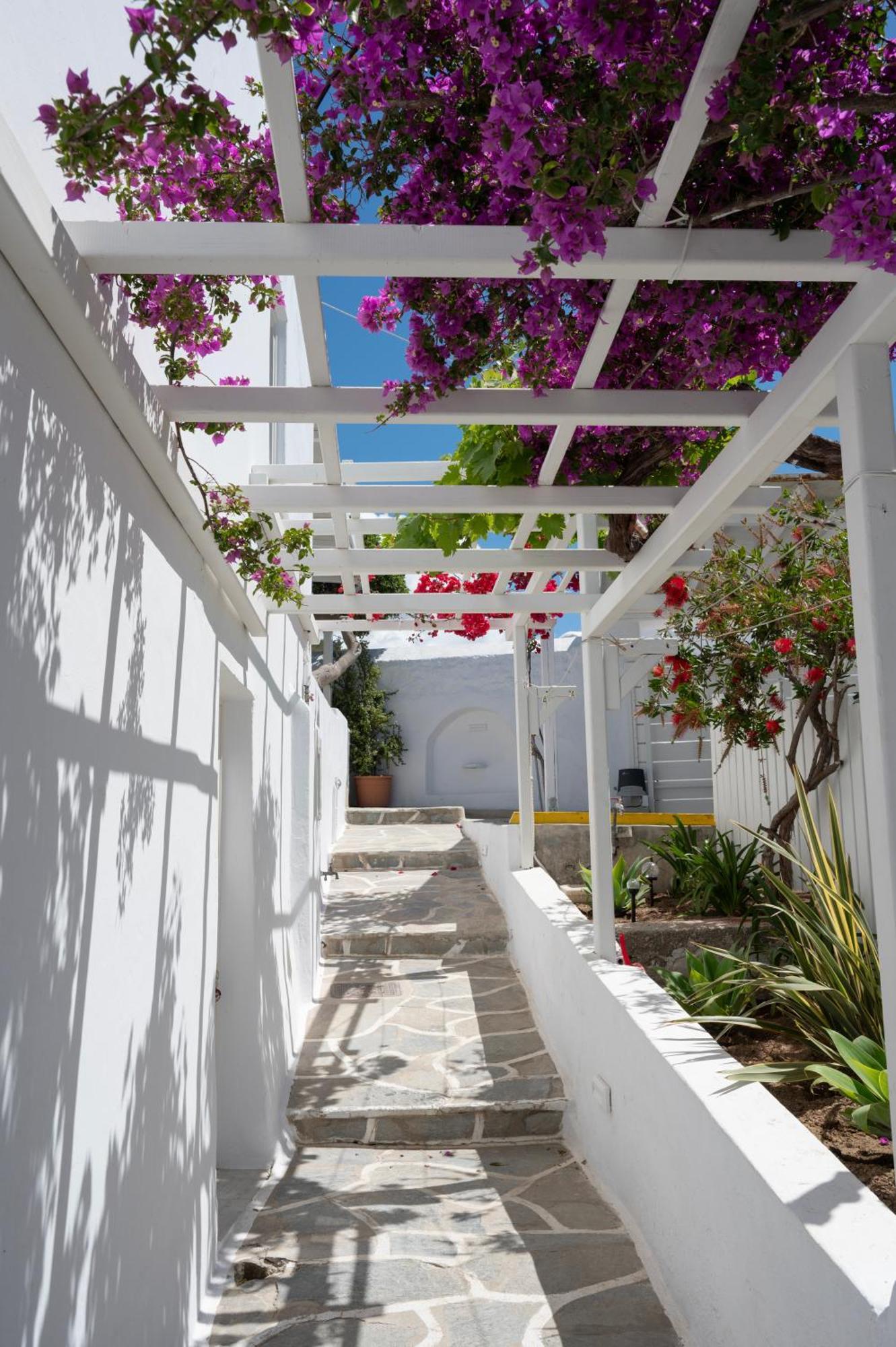 Hotel Boutique Di Vito Mykonos Town Esterno foto