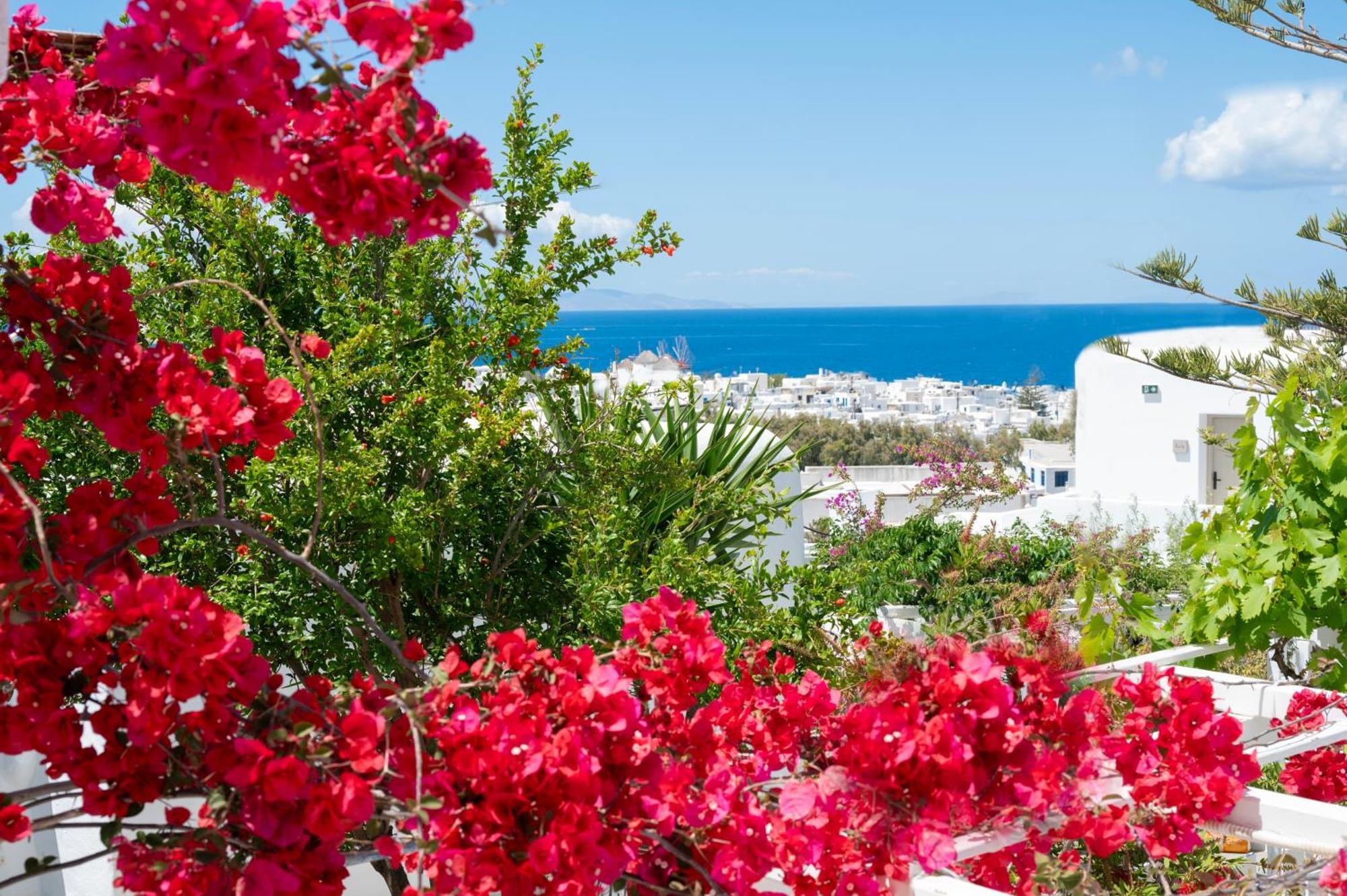 Hotel Boutique Di Vito Mykonos Town Esterno foto